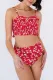 Fiery Red Floral Print Crop Top High waisted swimsuit Set