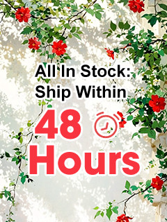 Ship Within 48 Hours