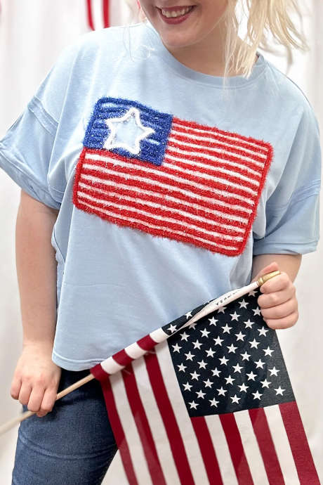 ボーブルー ティンセル刺繍フラッグ プラスサイズ グラフィックTシャツ