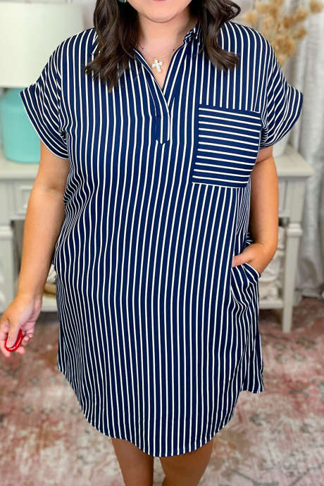 Blue Stripe Plus Size Single Patch Pocket Short Sleeve Shift Dress