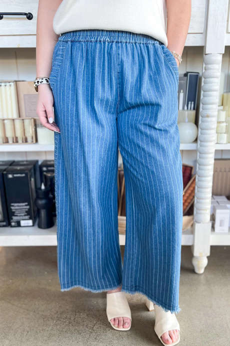 Sky Blue Stripe Umgee Light Denim Claire Pants
