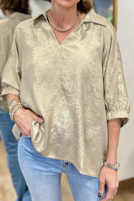 Casual Collared V Neck Half Sleeve Metallic Top LC25135618-P15