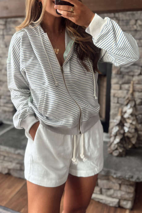 Blue Stripe Striped Hooded Zip-Up Sweatshirt Regular Fit Long Sleeve Casual Daily Wear