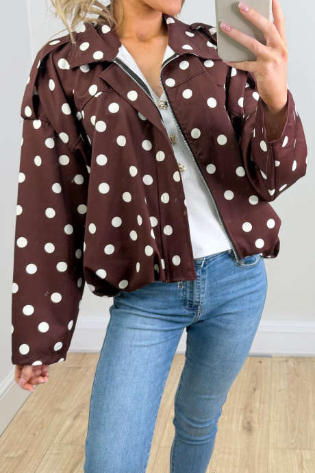 Brown Casual Long Sleeve Regular Length Polka Dot Collar Jacket