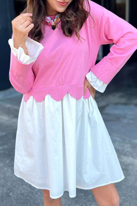 Bright Pink Casual Long Sleeve Shift Dress Colorblock Mini Daily Wear