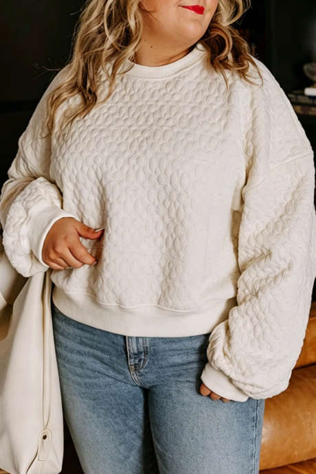 Beige Textured Round Neck Long Sleeve Oversized Sweatshirt Plus Size