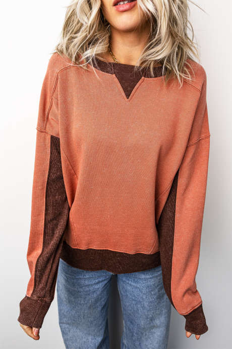 Flamingo Patchwork Colorblock Long Sleeve Vintage Sweatshirt Regular Fit Pullover