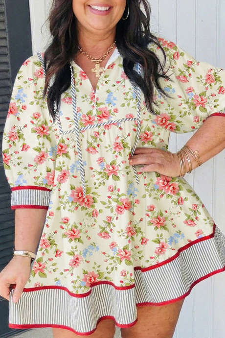 Apricot Plus Size Floral Print Striped Contrast Swing Mini Dress