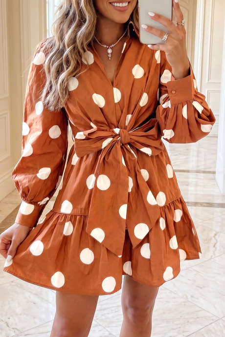 Brown Polka Dot Mini Dress Long Sleeve Shift Style Casual Daily Wear