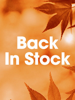 Back in Stock