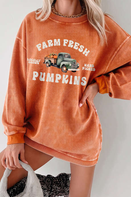 Sweat-shirt à enfiler orange côtelé à motif citrouilles fraîches de la ferme