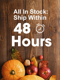 Ship Within 48 Hours
