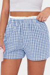 Sky Blue Contrast Trim Plaid Print Plus Size Shorts