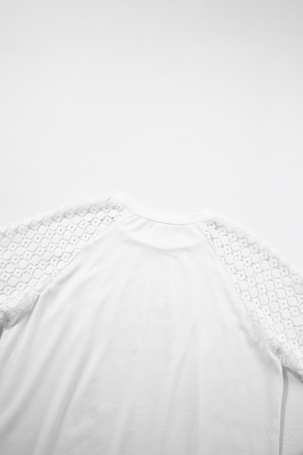 White Seamed Detail Contrast Lace Raglan Sleeve Tee view 13