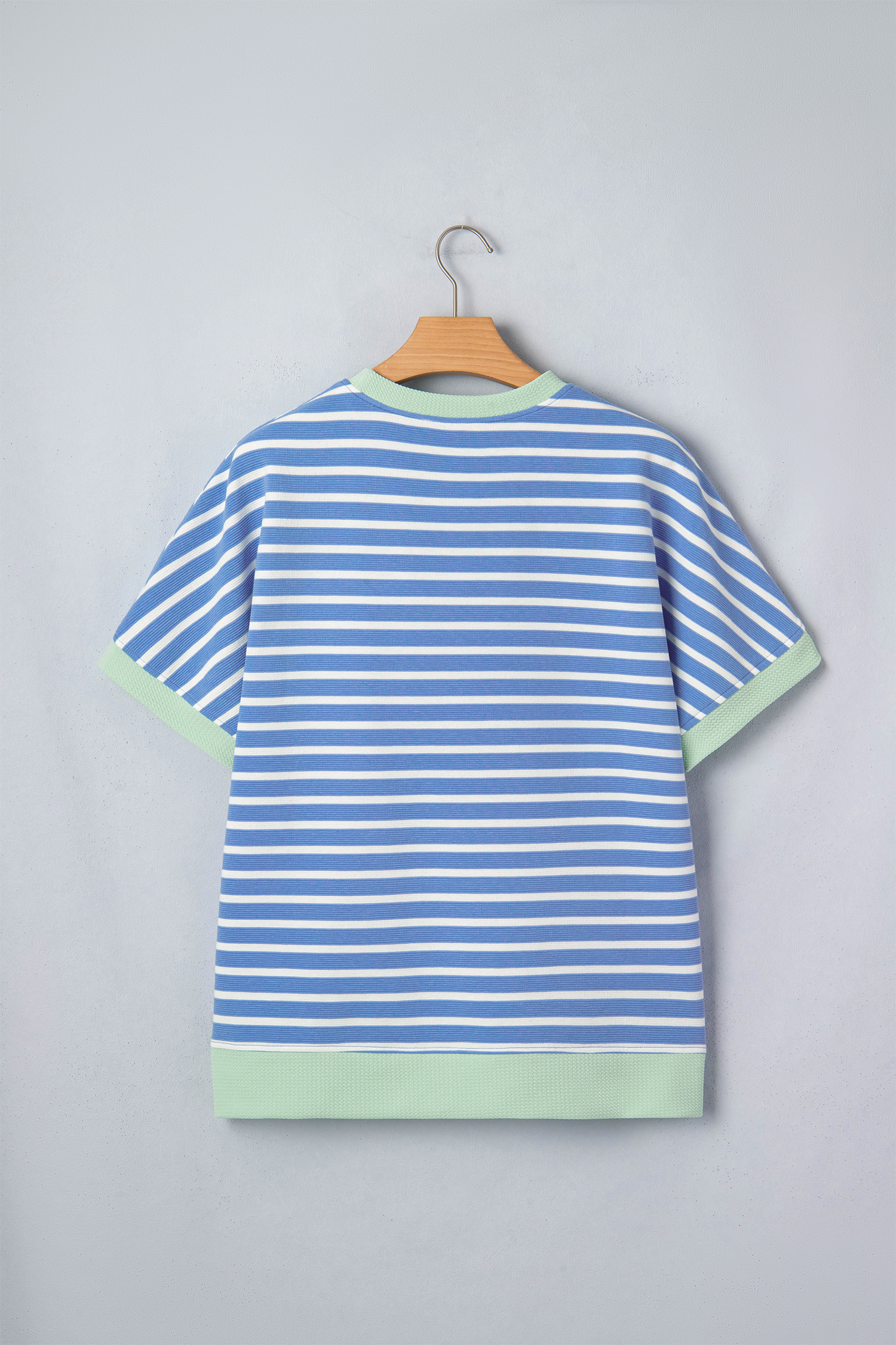 Sky Blue Stripe Contrast Trim Loose Short Sleeve Top view 14